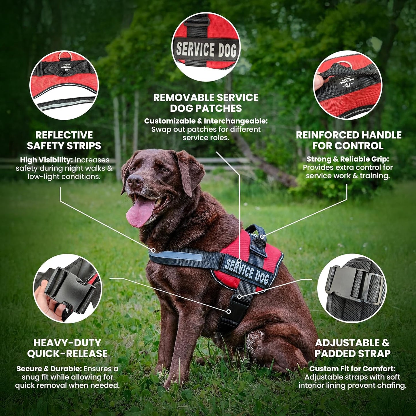 Emotional Support Dog Vest Harness with Reflective Straps and Matching ESA Leash Set - ESA Dog Vest in 7 Adjustable Sizes - Vests for Working Dogs