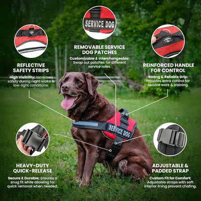 Emotional Support Dog Vest Harness with Reflective Straps and Matching ESA Leash Set - ESA Dog Vest in 7 Adjustable Sizes - Vests for Working Dogs
